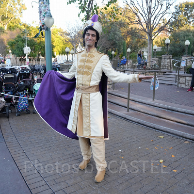 カリフォルニアアナハイムディズニー：アラジンとのフリーグリーティング