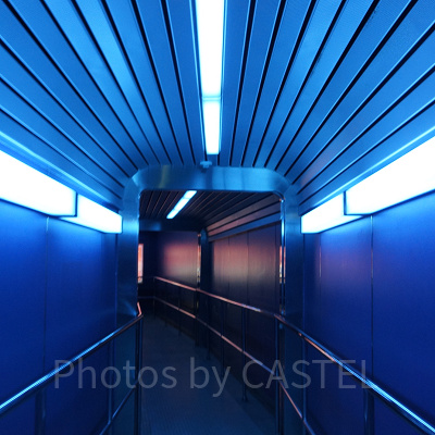 ディズニーランドのアトラクショントリビア