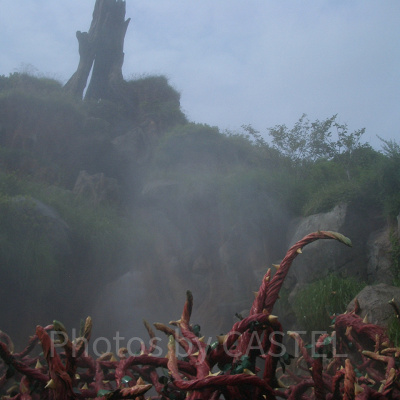 ディズニーランドのアトラクショントリビア：スプラッシュマウンテン