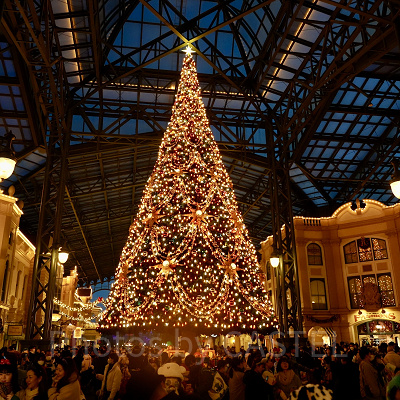 ディズニーランドのクリスマスツリー