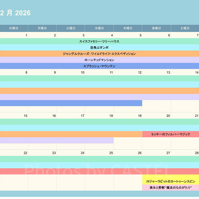ディズニーランドの休止情報（2026年2月)