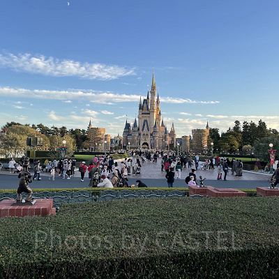 ディズニーランドの混雑状況と現地レポ
