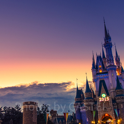 ディズニーランドのカウントダウンプログラム