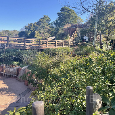 ディズニーランド混雑状況の現地レポート：絶好の写真スポットになったクリッターカントリー