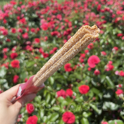 ディズニーランド食べ歩き:ミッキーチュロス(シナモン)
