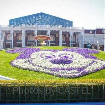 ディズニーランドエントランス