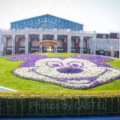 ディズニーランドのエントランス