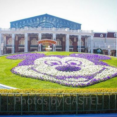 ディズニーランドのエントランス