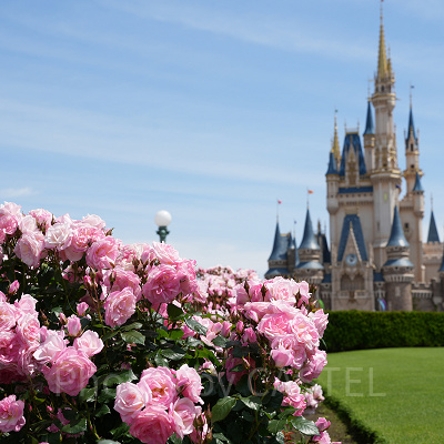 春のディズニーランド