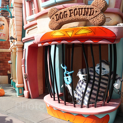 ディズニーランド