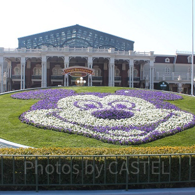 ディズニーランド