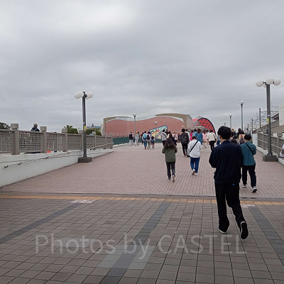 ディズニーランド5月混雑状況レポート：舞浜駅(9:30頃)