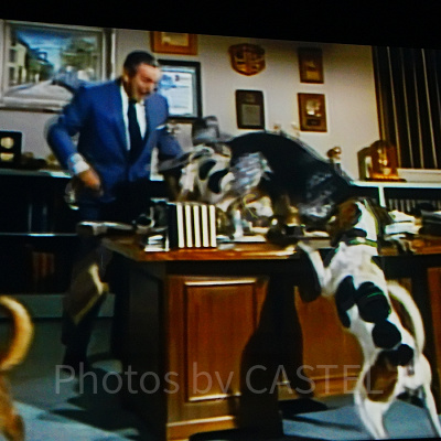 カリフォルニアアナハイムディズニーのアトラクション：「ウォルト・ディズニー：魔法に満ちた人生」