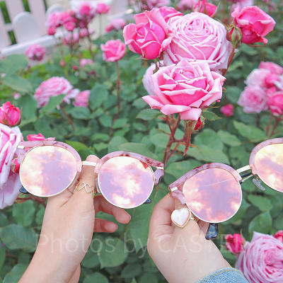 ディズニーランドローズは自宅栽培も可能