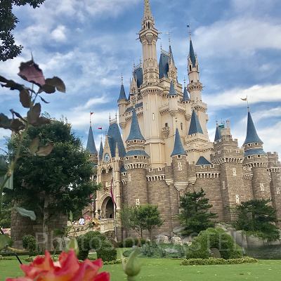 ディズニーランドのスーベニア