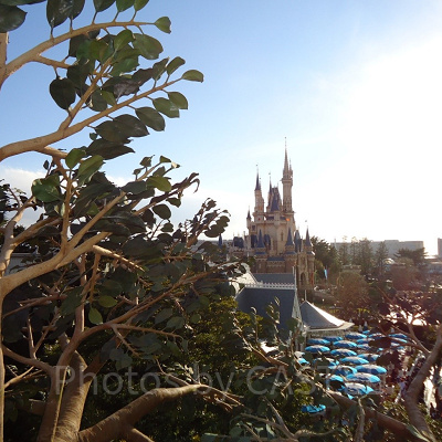 SNS映えするディズニーランドのフォトスポット