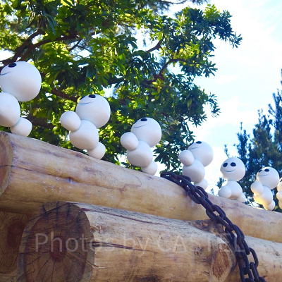 ディズニー初！デビュー前の新人起用