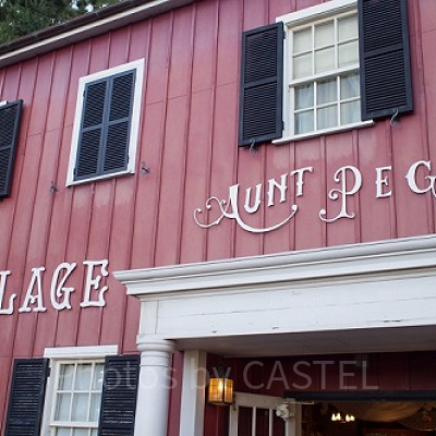 ディズニーシー20周年記念！ダッフィーのドールハウスをご紹介！