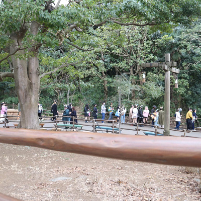 ディズニーシー3月混雑状況レポート:インディ・ジョーンズの待ち列(13:30頃)