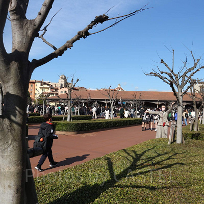 ディズニーシー3月混雑状況レポート:リゾートゲートウェイ・ステーション(9:20頃)