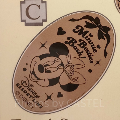 ディズニーシー・ステーション：スーベニアメダル