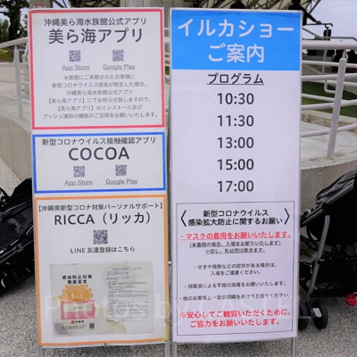 イルカショーの時間案内