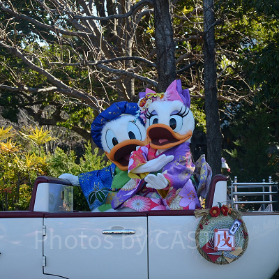 ドナルド・デイジー