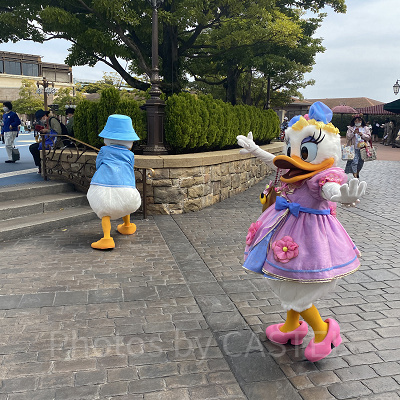 ドナルド＆デイジー