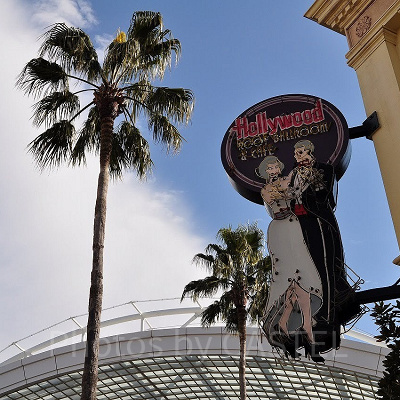 ドナルドダックがハリウッドスターに！