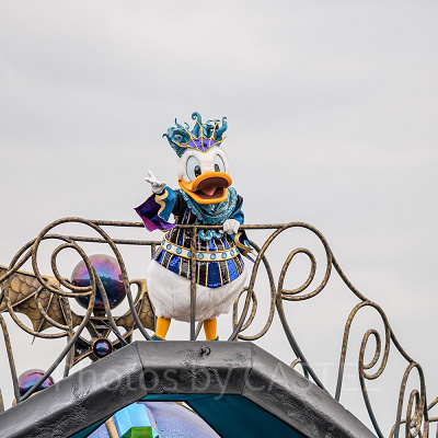 ドナルドダック