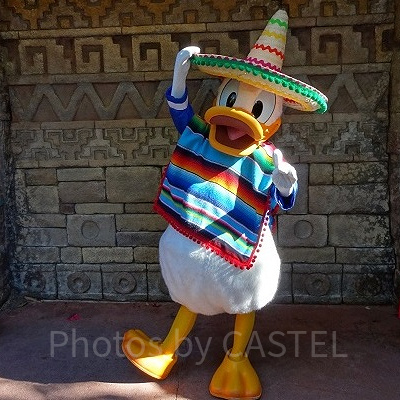 ドナルドダック