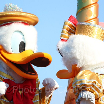 主役はドナルド！