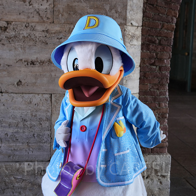 ディズニーシーで会えるドナルド