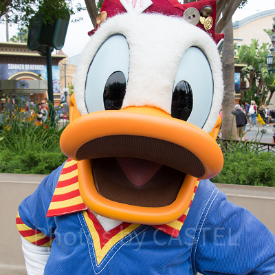 ドナルドの誕生日プログラム「ハッピーバースデー・トゥ・ミー！」