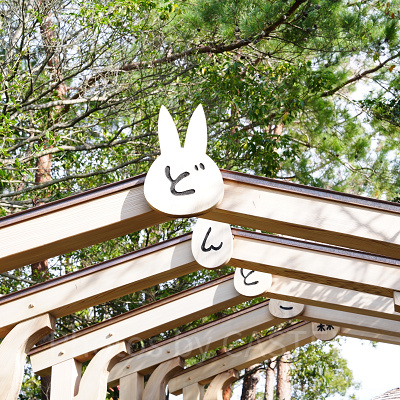 どんどこ森エリア（ジブリパーク）