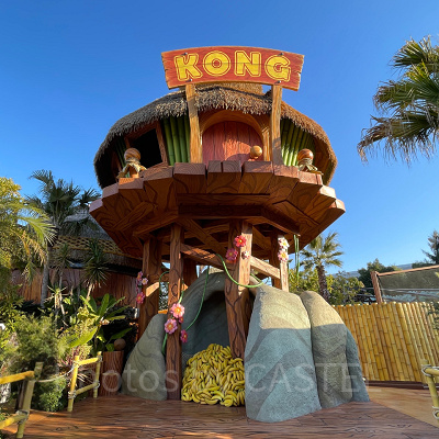 ドンキーコングの家