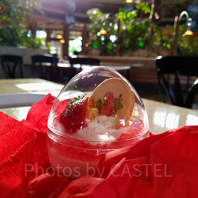 ドラえもん～イチゴヨーグルトのムース