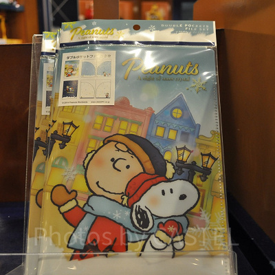 ダブルポケットファイルセット（2枚）