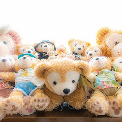 ダッフィーとシェリーメイのぬいぐるみ