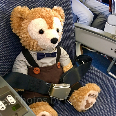 ダッフィーもきちんとシートベルトをつけて離陸準備！