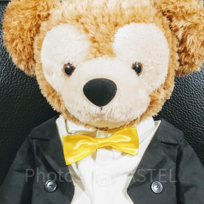 ダッフィーの型紙と作例