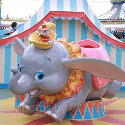 ダンボ（０～1歳）