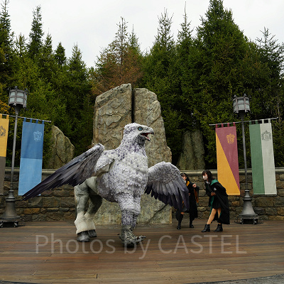 USJ魔法生物との出会い/ヒッポグリフ