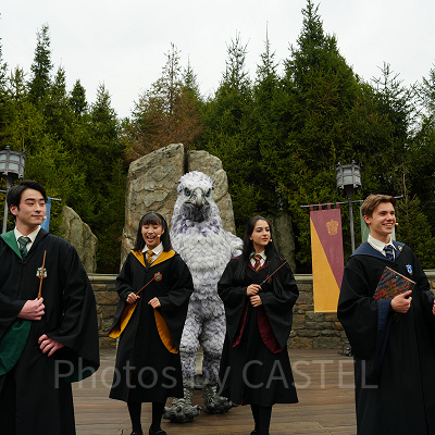 USJ魔法生物との出会い/ヒッポグリフ