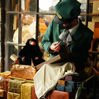 USJ魔法生物との出会い/ニフラー