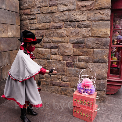 USJ魔法生物との出会い/ピグミーパフ