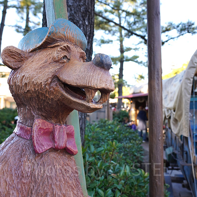 カントリーベア・シアターでカントリーミュージックを楽しもう！