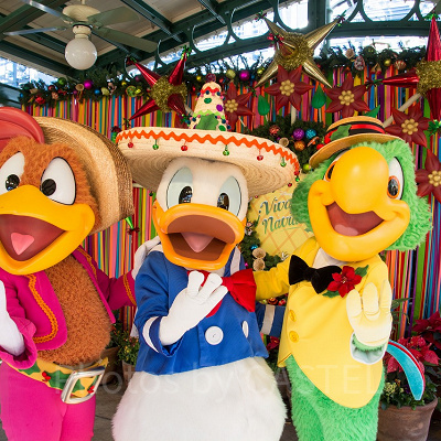 パンチートとグリーティングを楽しもう！（カリフォルニア）