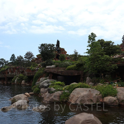 景色や写真撮影を楽しむ