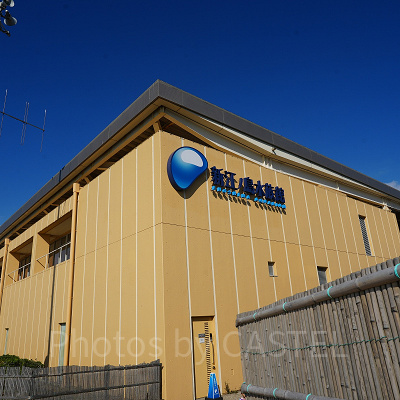 新江ノ島水族館（えのすい）：江ノ島海岸沿いの水族館